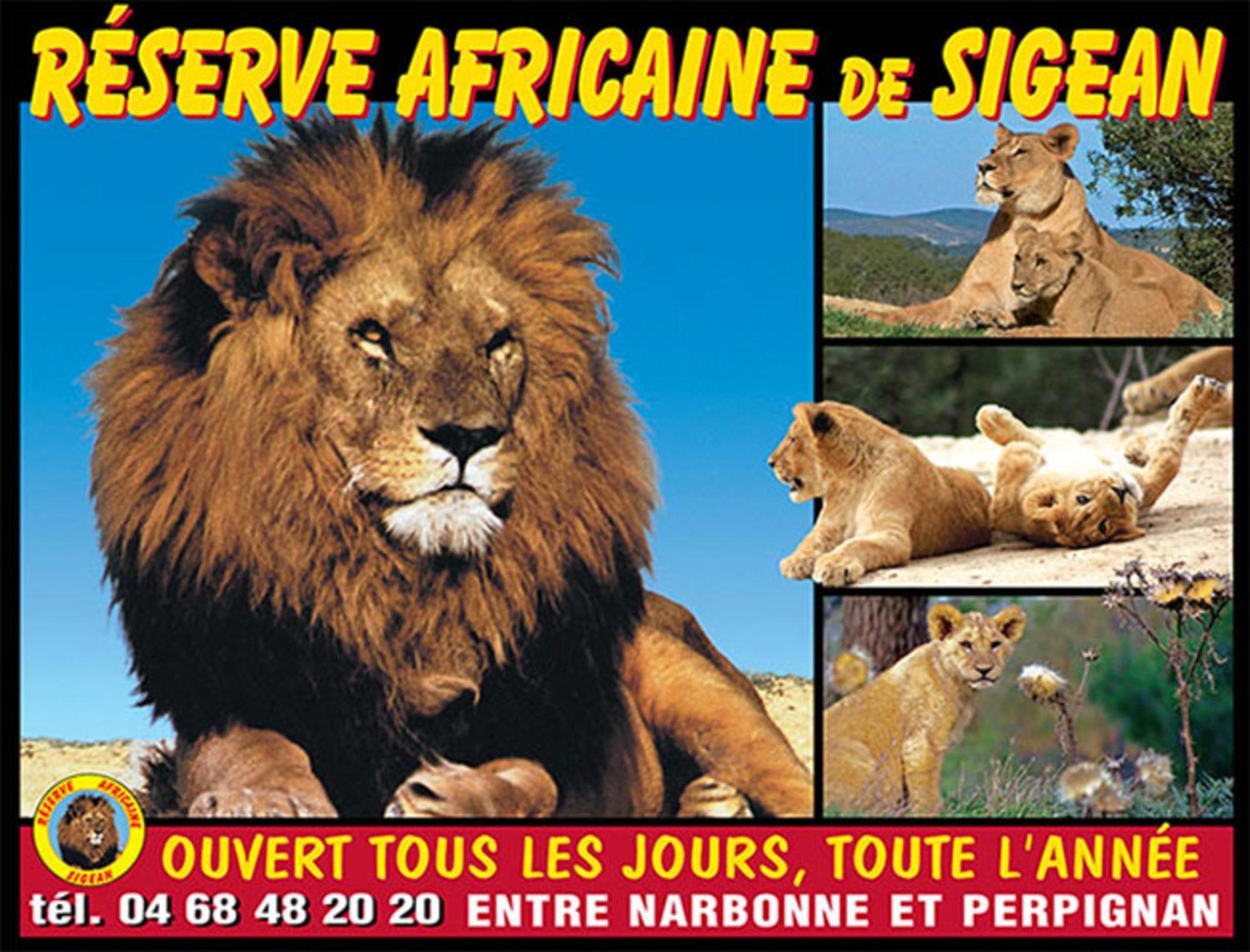 Le Mieukerien - Reserve Africaine 15 Mn, Plage 200M, Terrasse Port-la-Nouvelle Exterior photo